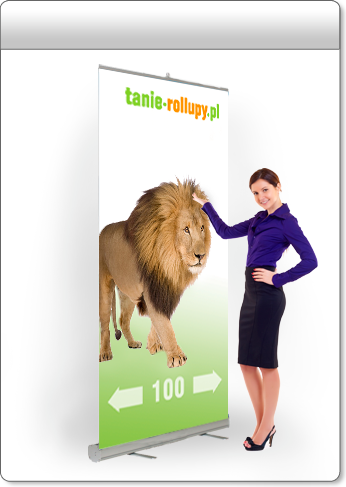 Rollup Light 100x200 cm